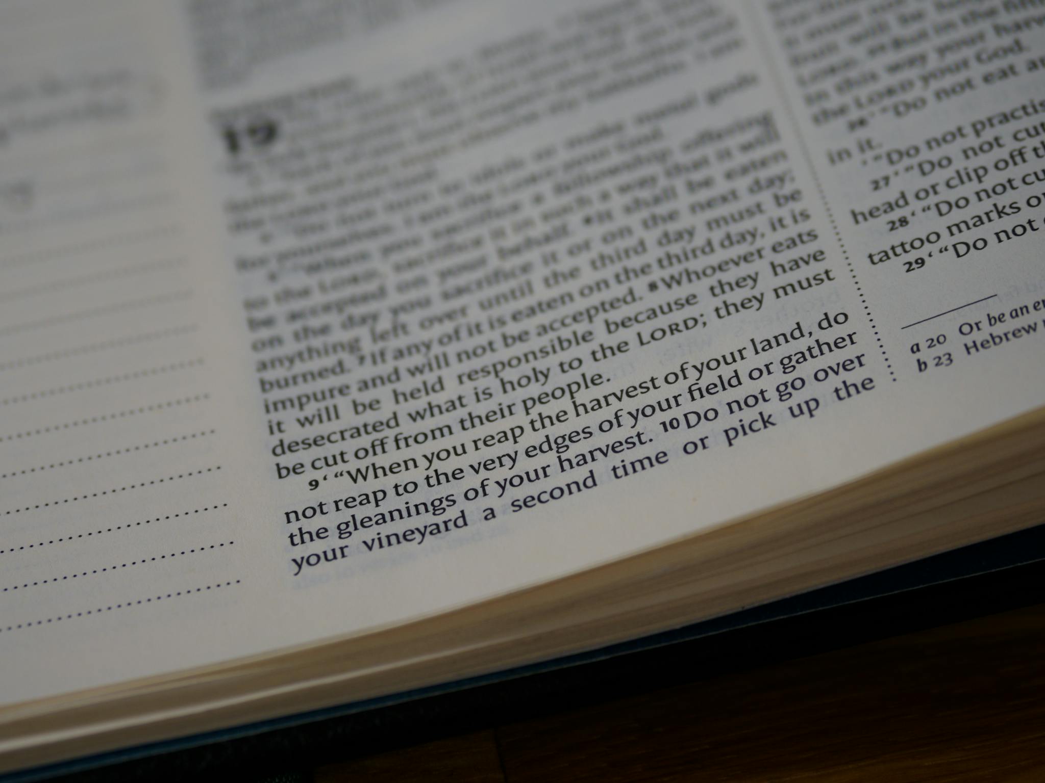 Macro shot of a Bible page focusing on Leviticus text, ideal for study and devotion themes.